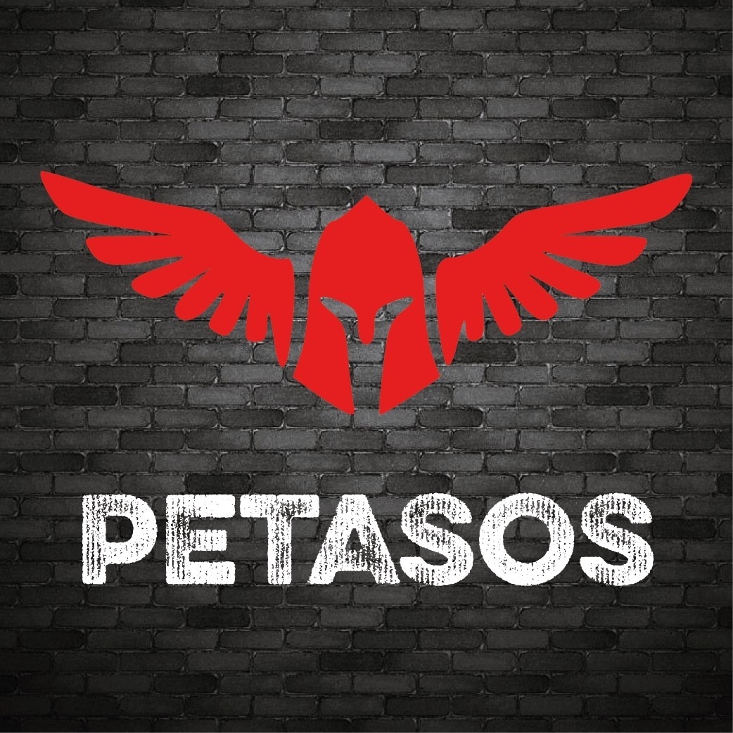 reclamebureau's Ieper | Petasos Webdesign